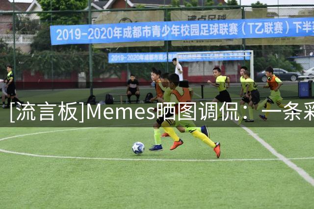[流言板]Memes晒图调侃：一条彩虹已经容不下丹尼斯-施罗德了